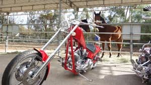 San Diego/Peoria AZ Custom Motorcycles