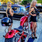 Big Dog k9 Motorcycle Ride 360 Video Big Dog k9 Motorcycle Ride 360 Video